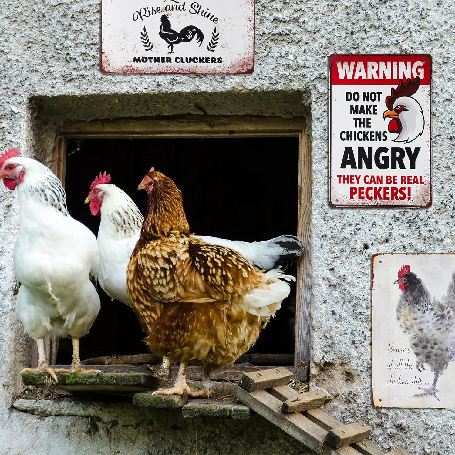 8 Pack Chicken Coop Accessories Funny Chicken Coop Signs Decor Metal Signs NEW