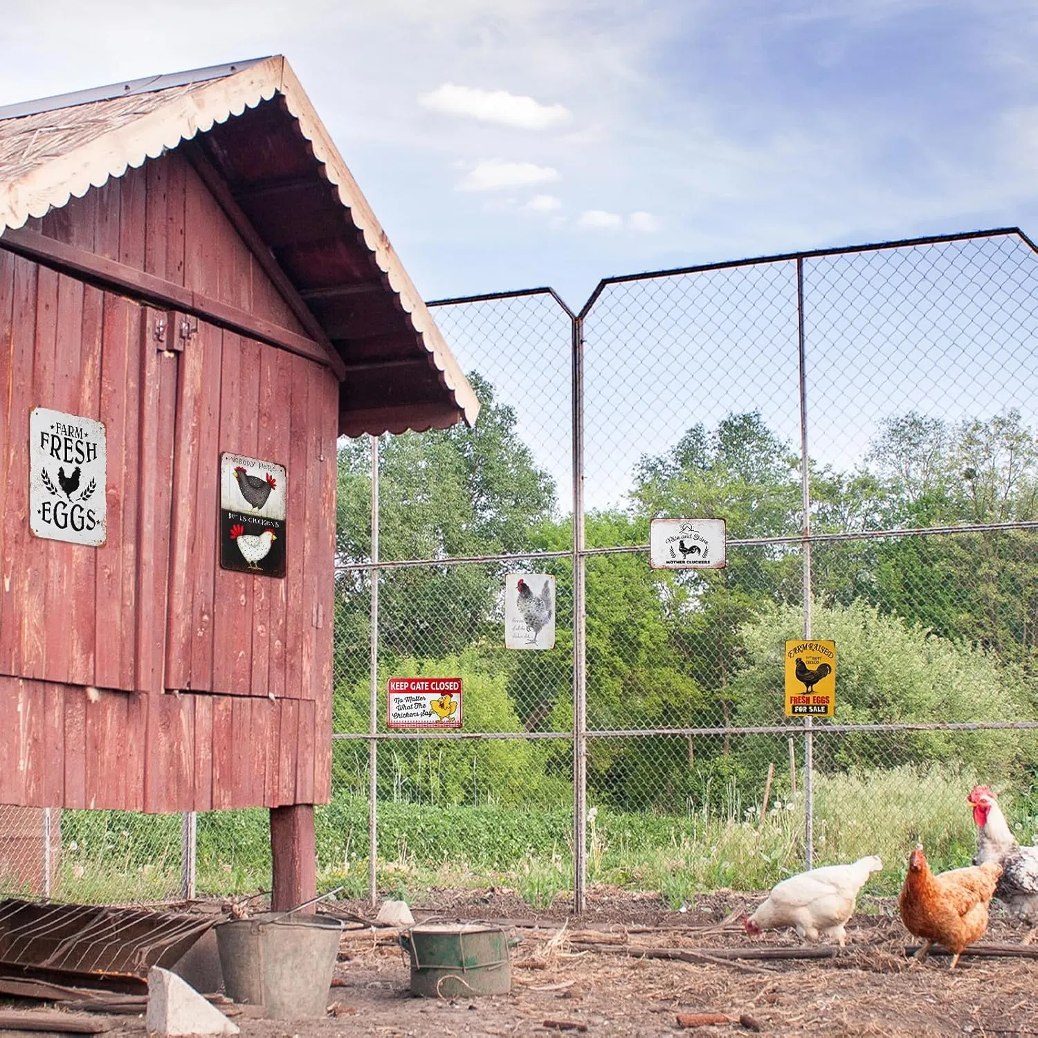 8 Pack Chicken Coop Accessories Funny Chicken Coop Signs Decor Metal Signs NEW