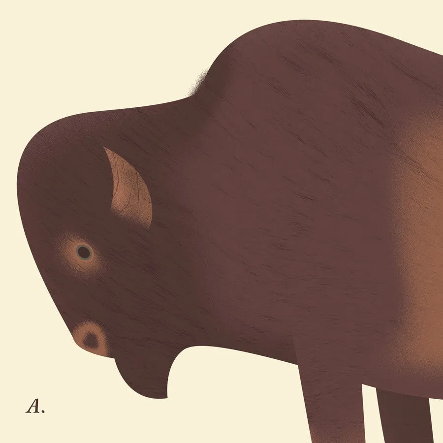 American Bison Scientific Print