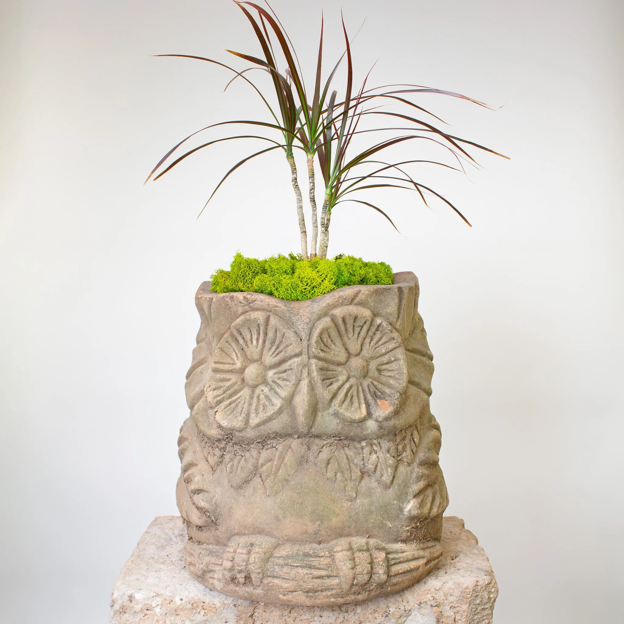 Búho Pot. Vintage Terracotta Sculptural Planter.