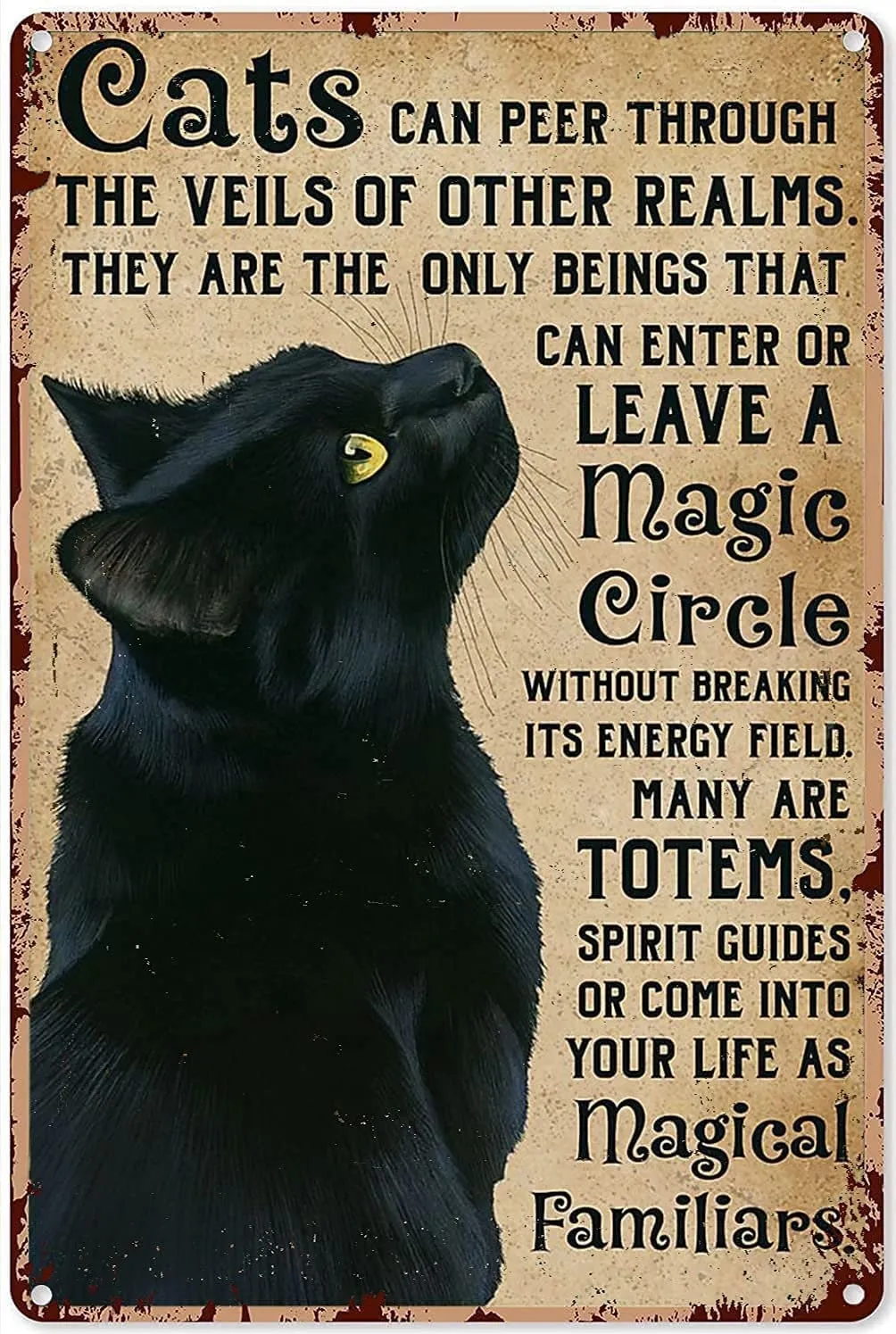 Black Cat Magical Familiars | Black Cat Lover Gift | Kitchen Decor Bar Bathroom Garden Home Outdoor Decoration | Metal Tin Signs 8 x 12 Inch