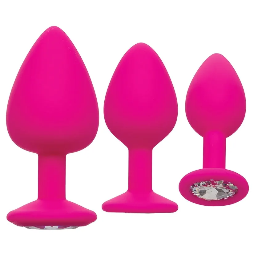 Cheeky Gems Anal Training Kit