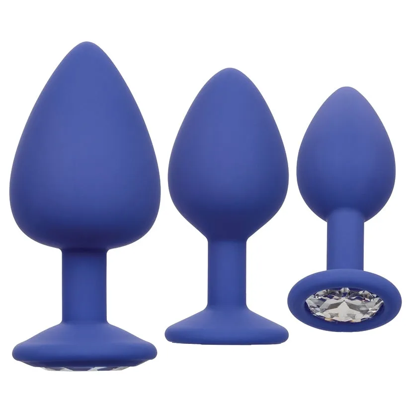 Cheeky Gems Anal Training Kit