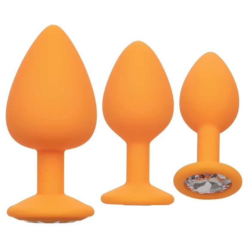 Cheeky Gems Anal Training Kit