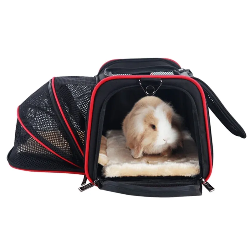 Comfortable & Convenient Pet Carrier
