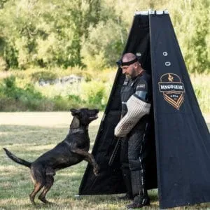 Dingo Gear Hideaway Blind with Blowout Back 4 legs
