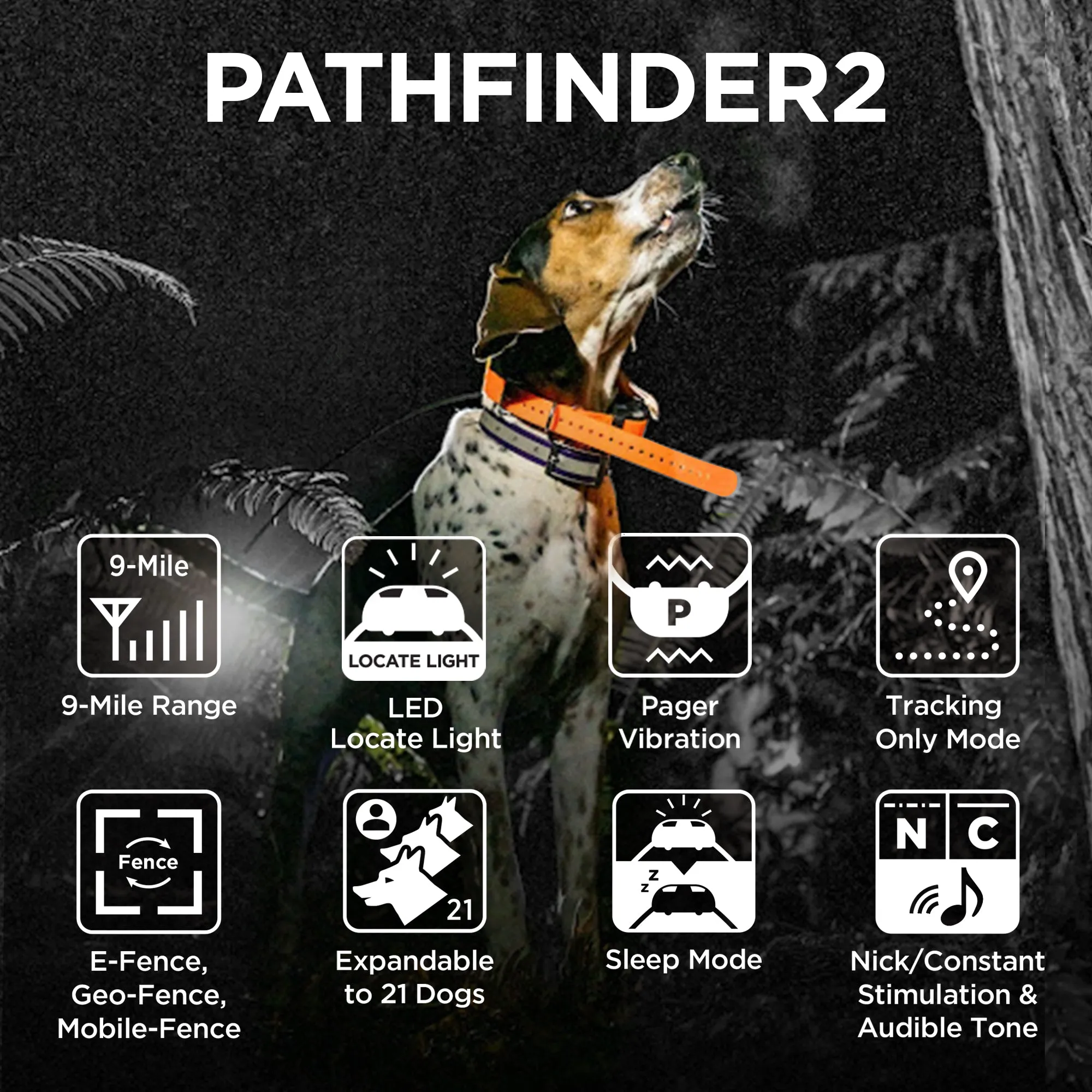 Dogtra Pathfinder 2 Green Collar