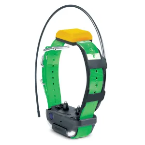 Dogtra Pathfinder 2 Green Collar