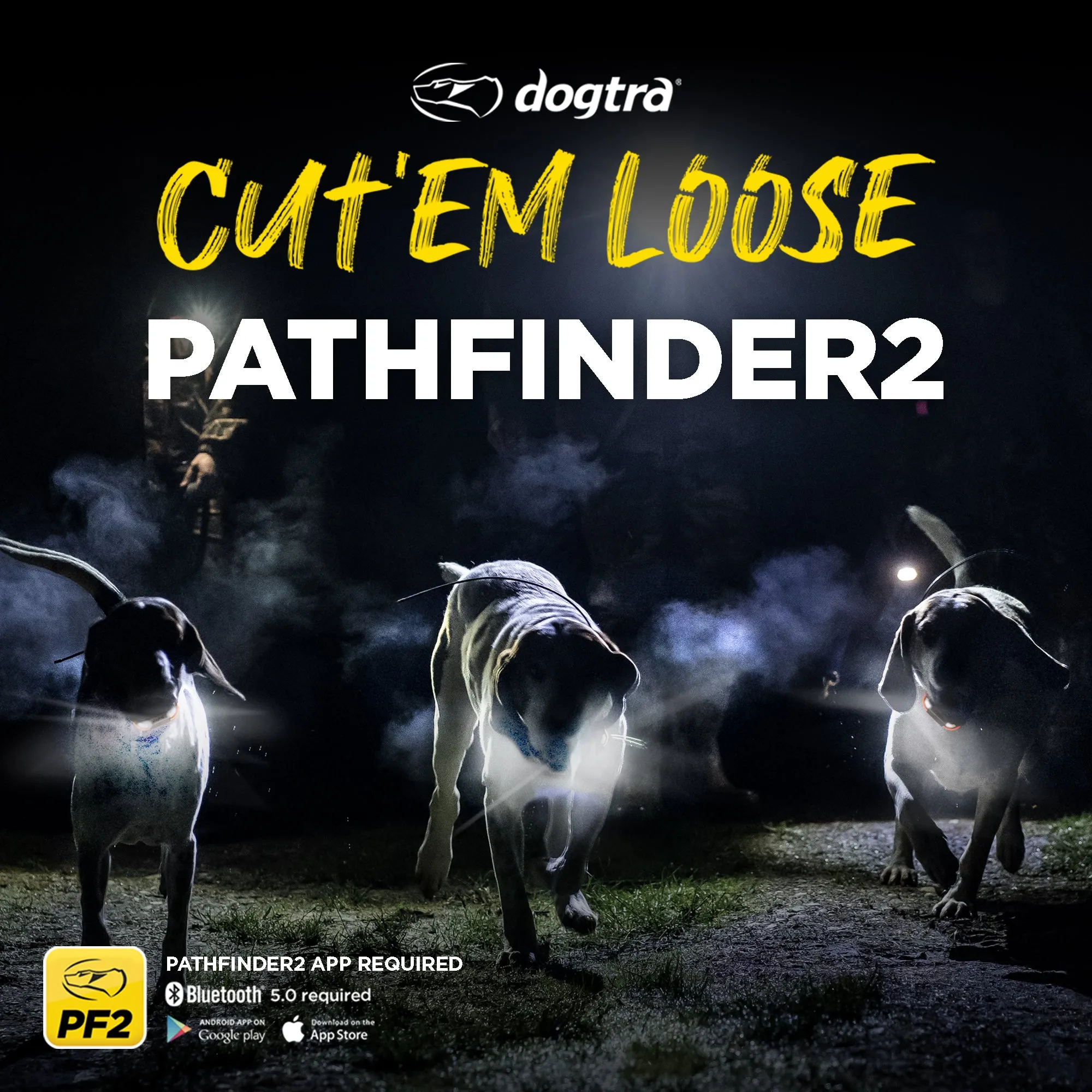 Dogtra Pathfinder 2 Green Collar