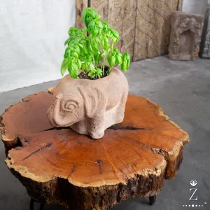 Elephant Planter, Vintage Terracotta Pot