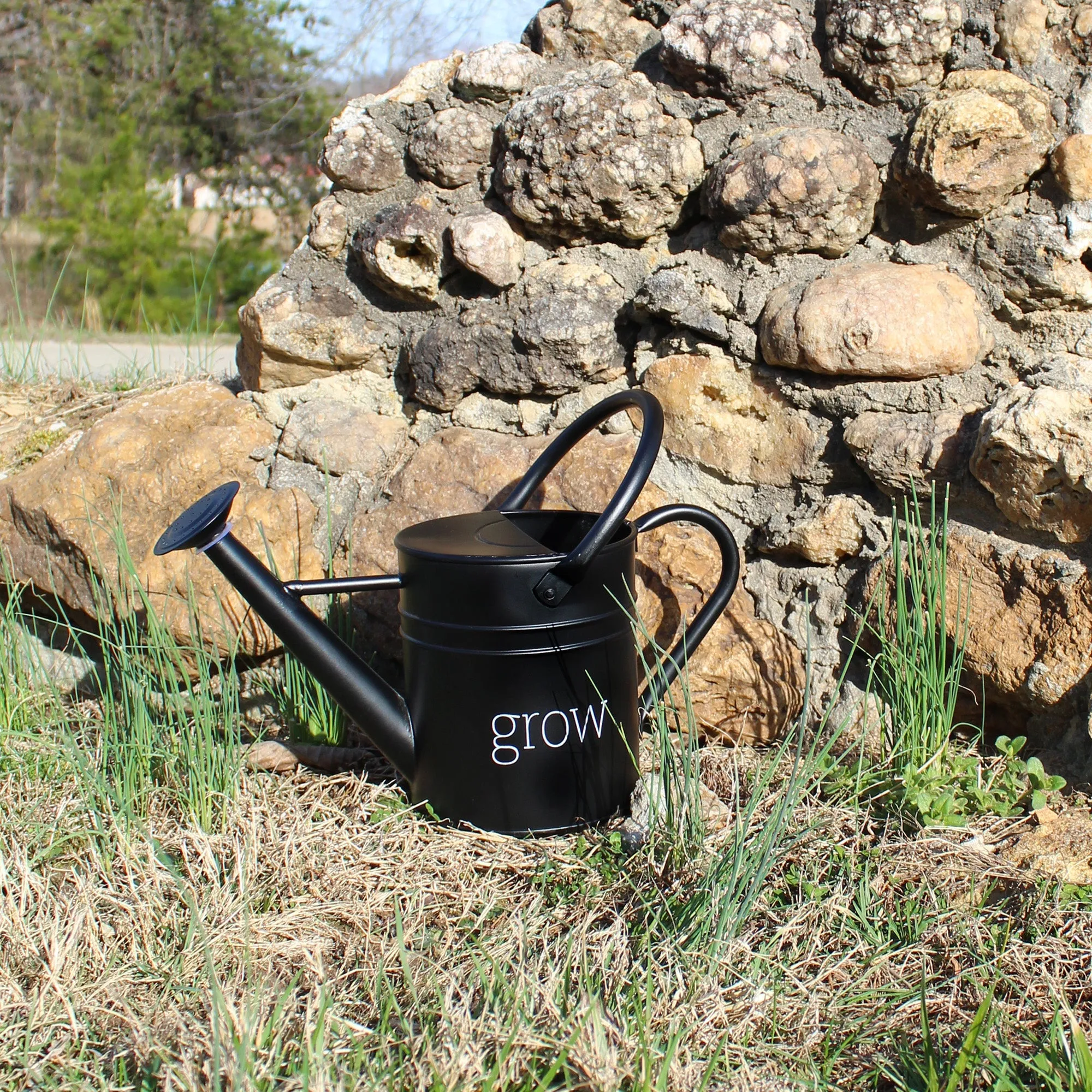 Farmhouse Enamel Watering Can (Black, Case of 6)