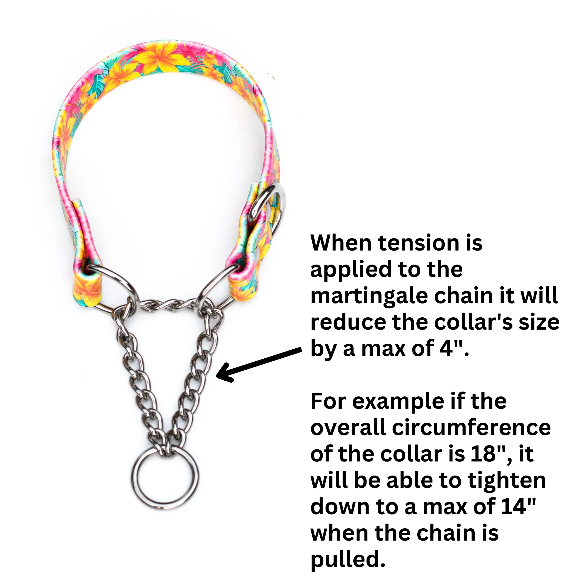 Fi 3 Compatible 1" Width BioThane® Martingale Collar