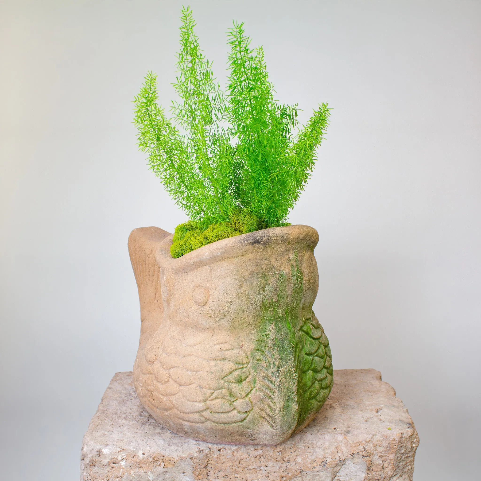 Koi Fish Planter, Vintage Terracotta Pot