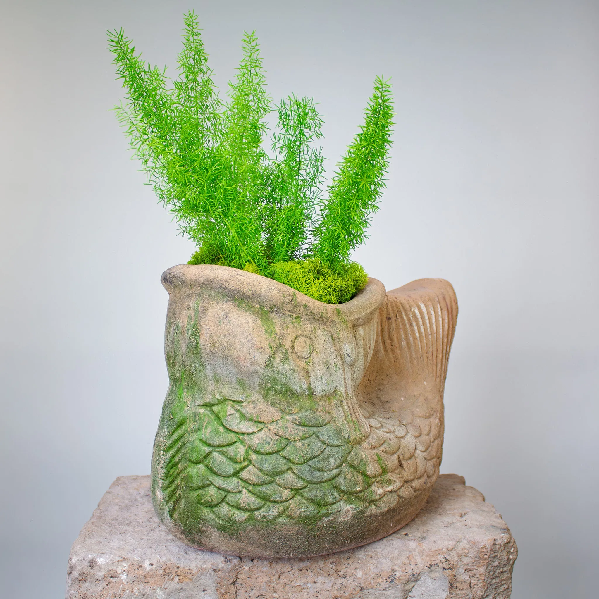 Koi Fish Planter, Vintage Terracotta Pot