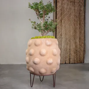 Node Planter, Large Terracotta Pot with Iron Stand.