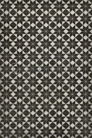 Pattern 20 "Stargazer" No Border Vinyl Floorcloth - Spicher & Co.
