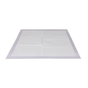 PaWz 100x Pet Dog Toilet Training Pad