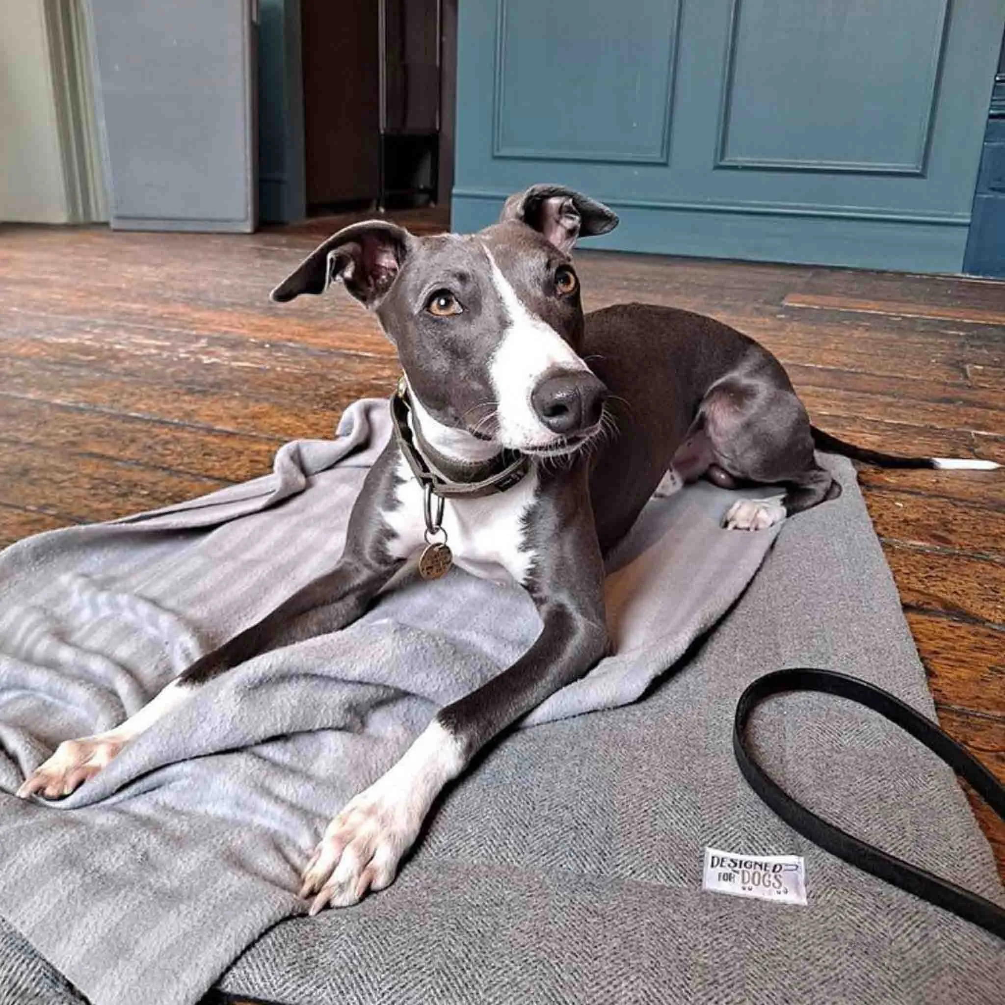 Pewter Grey Tweed Picnic Pads