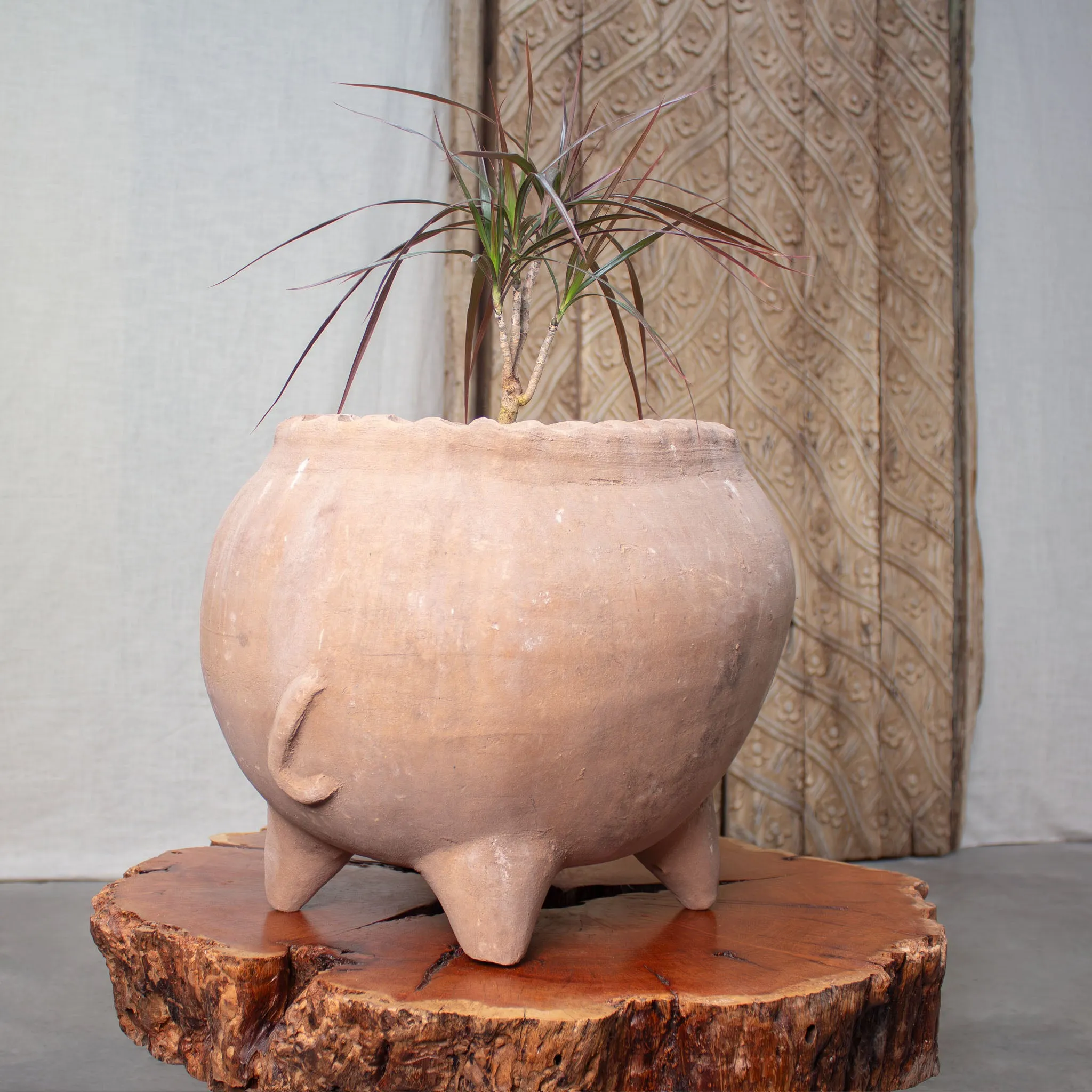 Piggy Planter. Vintage Terracotta Pot.