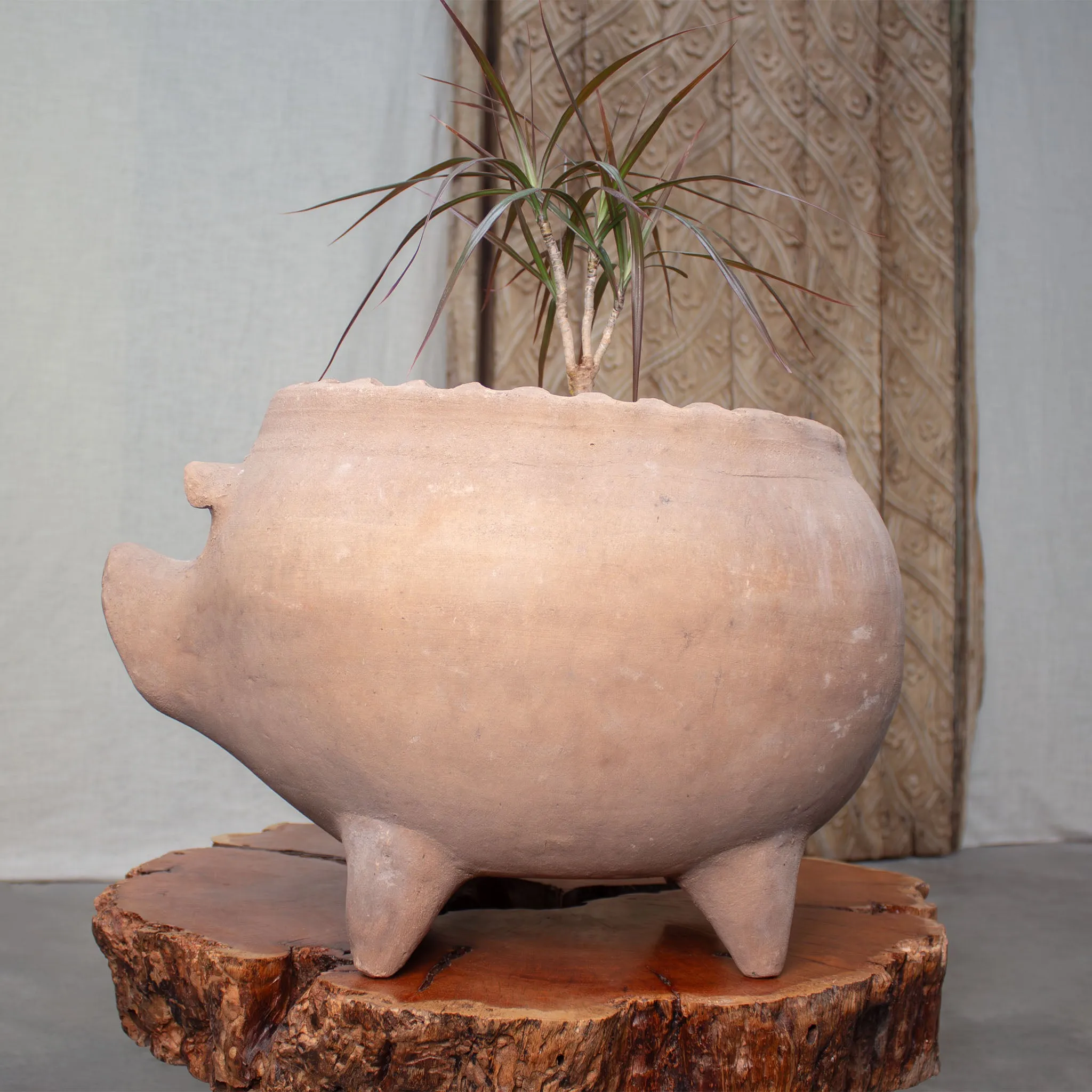 Piggy Planter. Vintage Terracotta Pot.