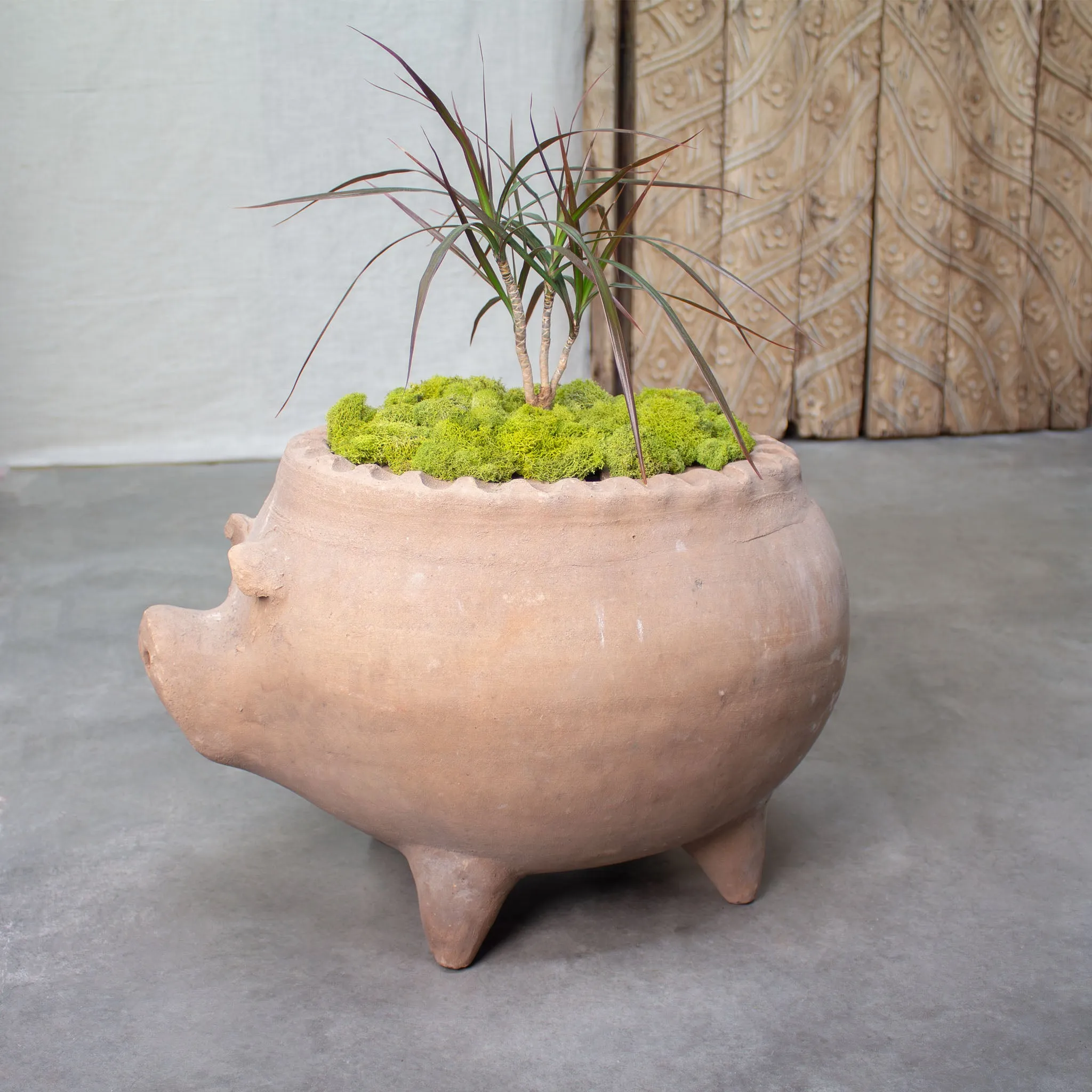 Piggy Planter. Vintage Terracotta Pot.