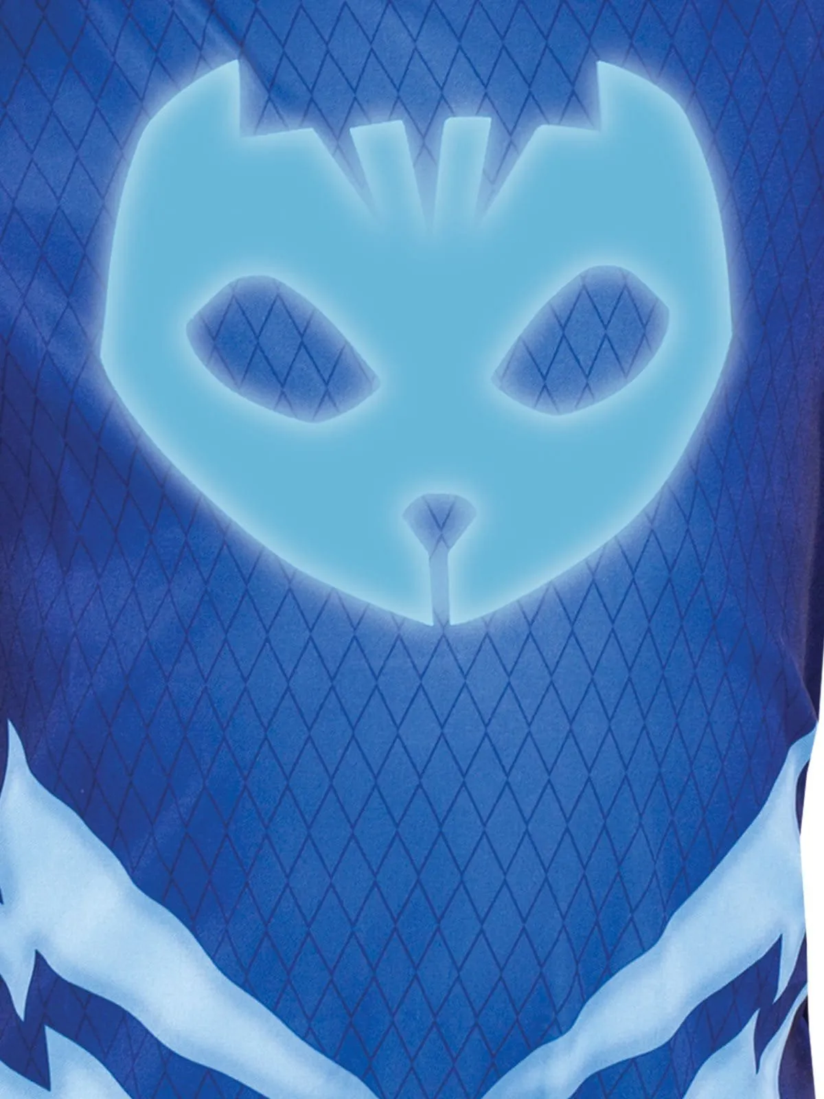 PJ Masks Catboy Glow In The Dark Boys Costume