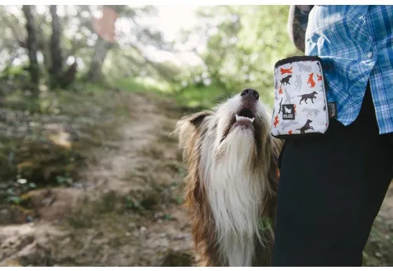 P.L.A.Y Pet Compact Training Pouch for Dogs, Mocha