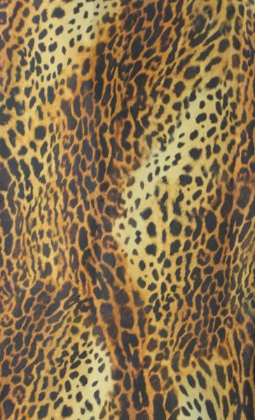 Plus Size Hair Salon Vest Cheetah