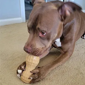 Poochie Butter Toy Filler (All Natural Rubber)