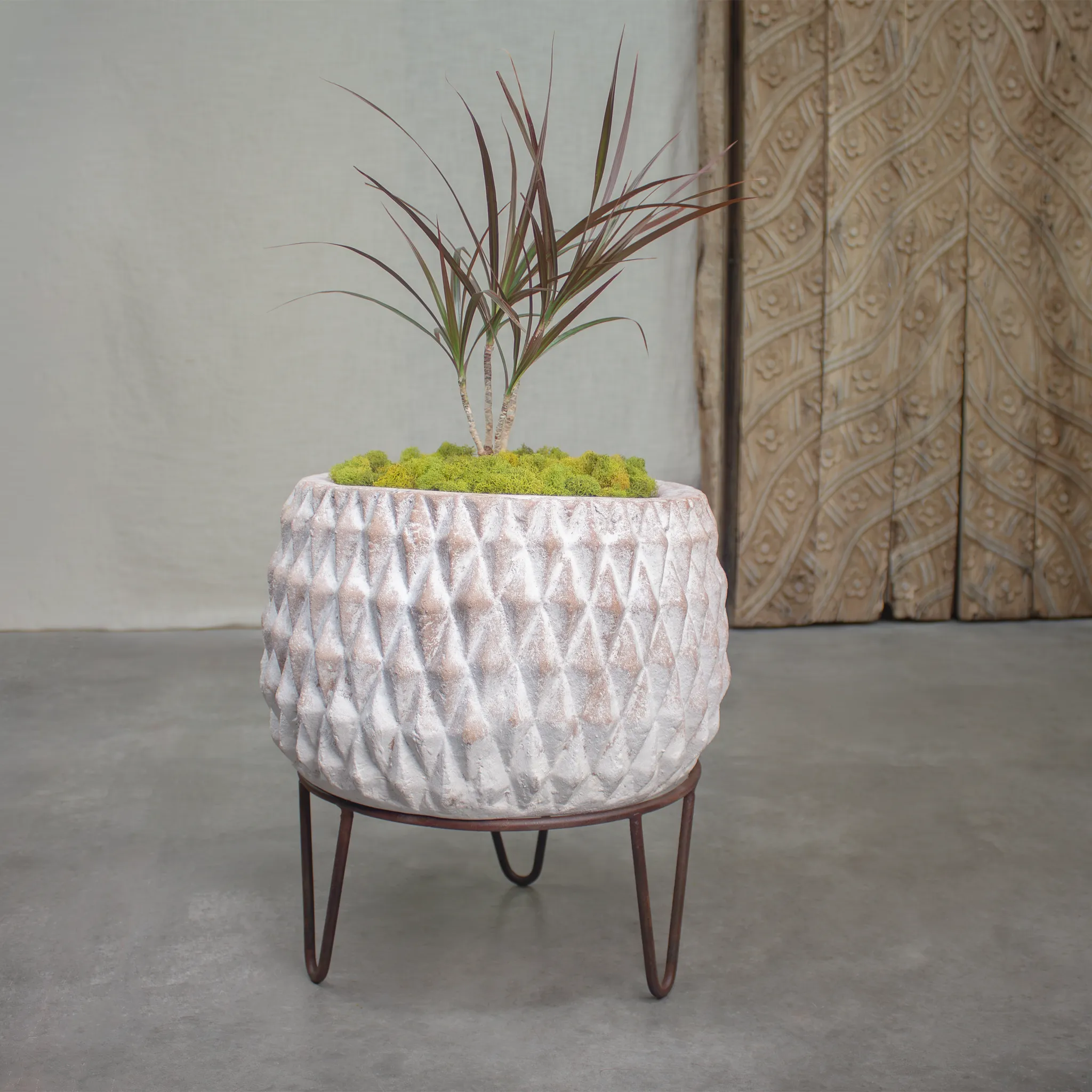 Prickly Planter, Terracotta pot with stand.