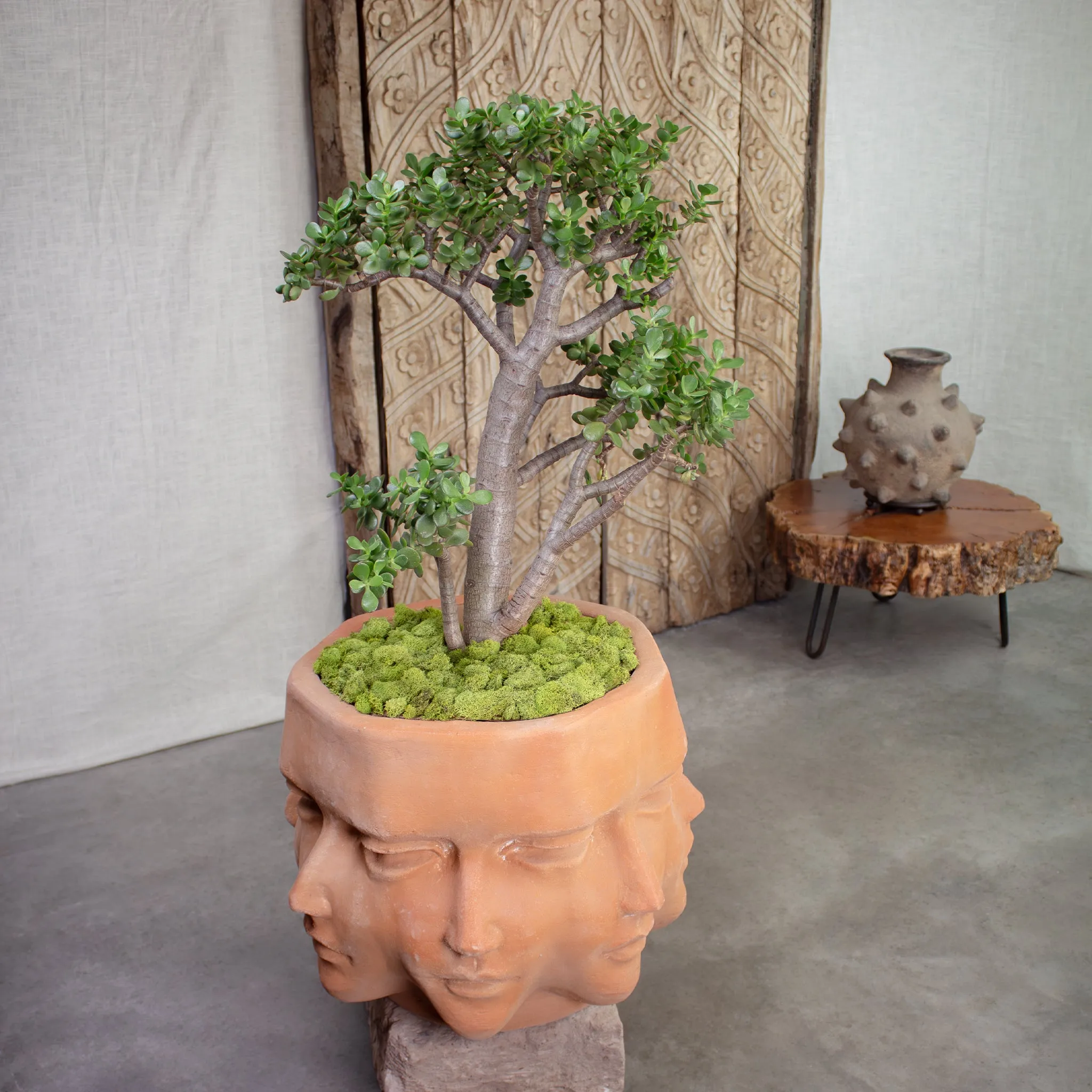 Prometheus Planter. Vintage Terracotta Large Pot.