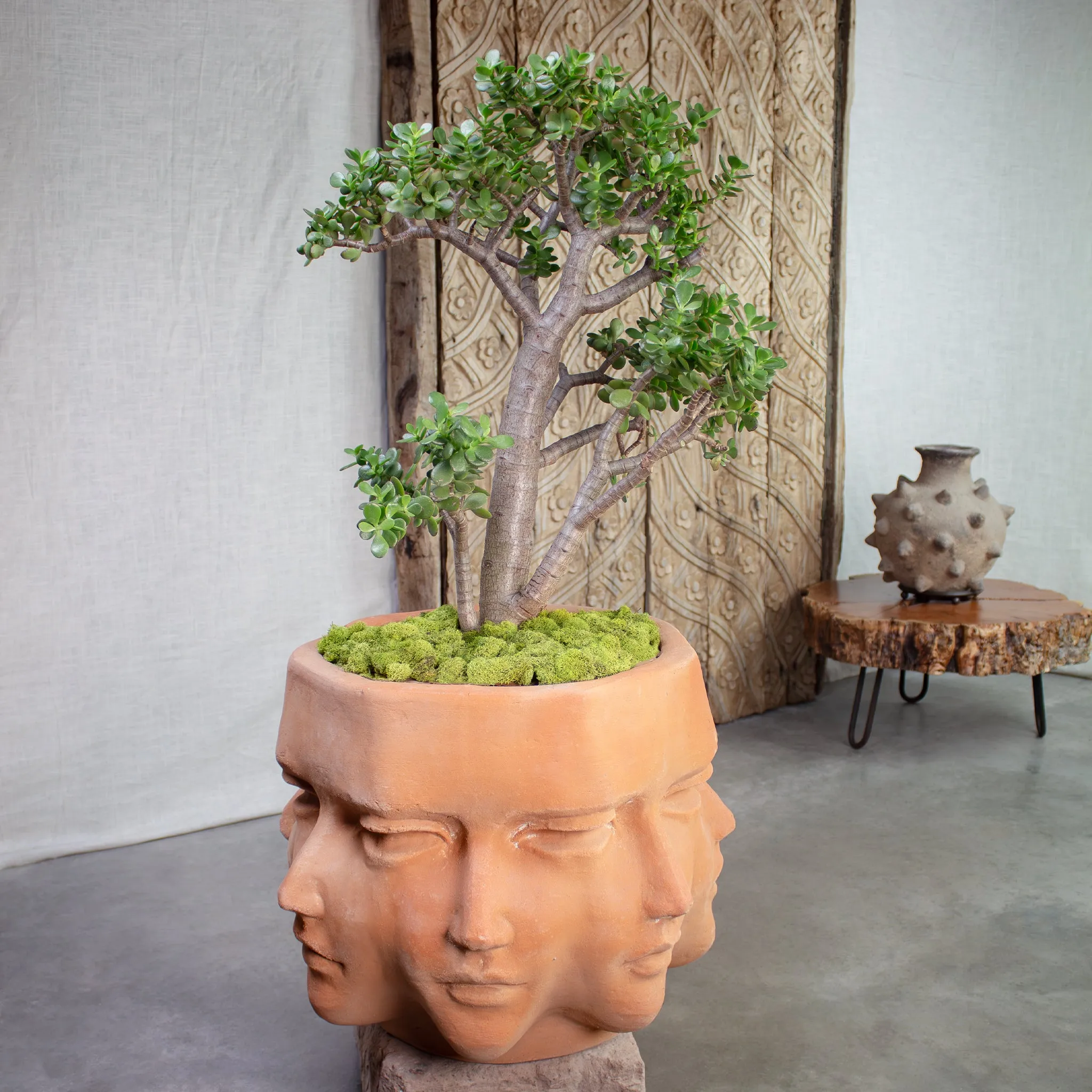 Prometheus Planter. Vintage Terracotta Large Pot.