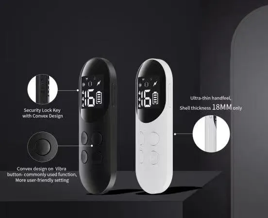 PT200 Premium Waterproof Remote Trainer