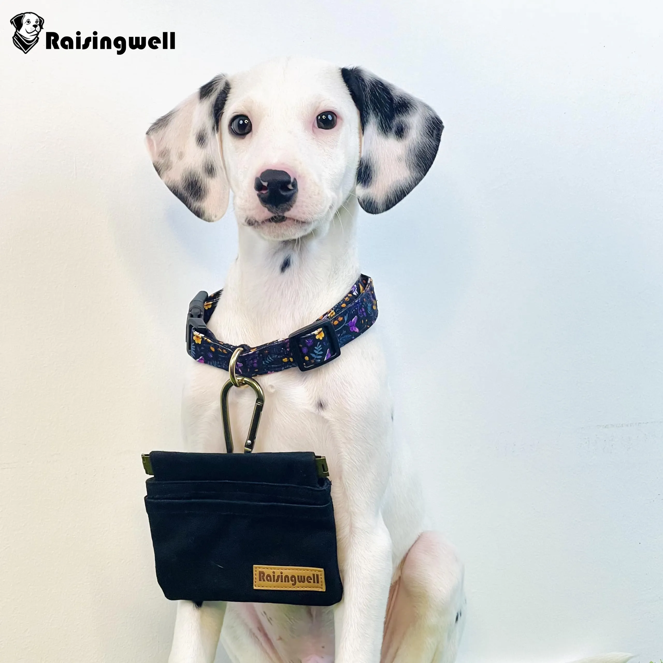 Raisingwell Hand Free Dog Treat Pouch with Carabiner Black