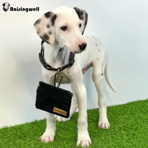 Raisingwell Hand Free Dog Treat Pouch with Carabiner Black