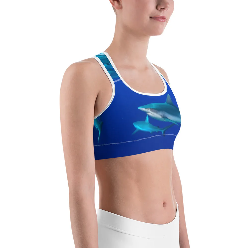 Shark Scool Sports bra