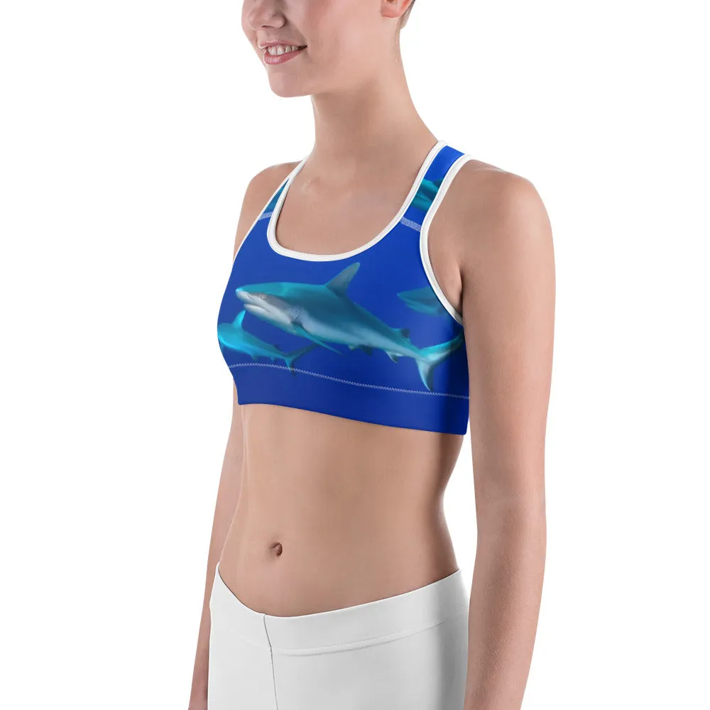 Shark Scool Sports bra