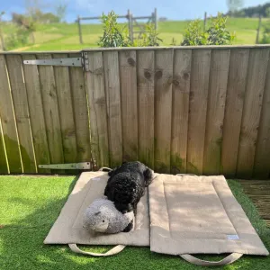 Stone Tweed Picnic Pads