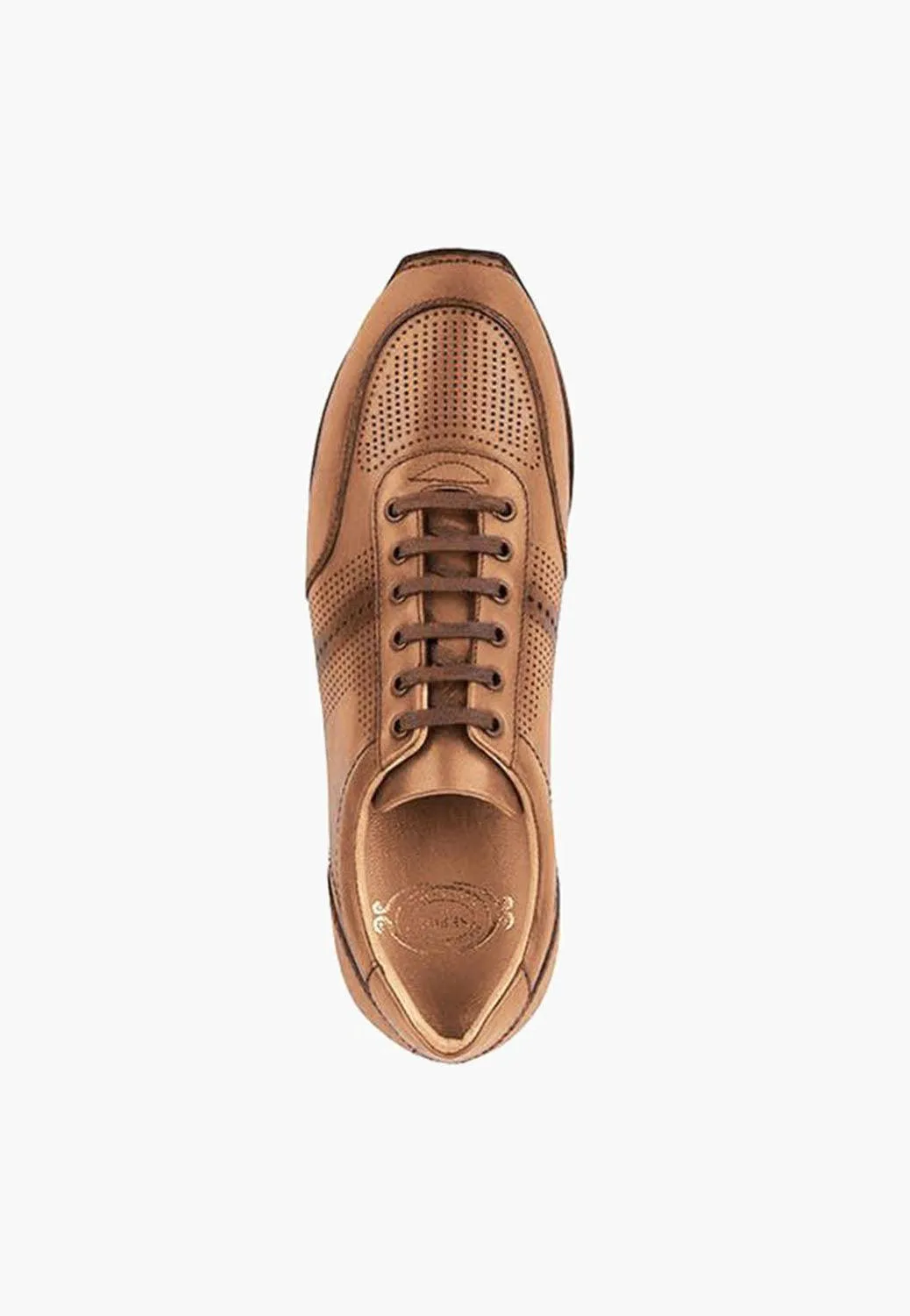 Toronto Sneakers Brandy