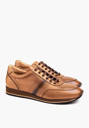 Toronto Sneakers Brandy