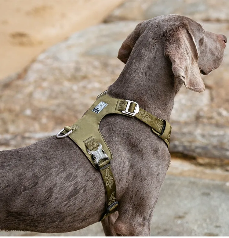 True Love Lightweight Dog Harness - Green, S