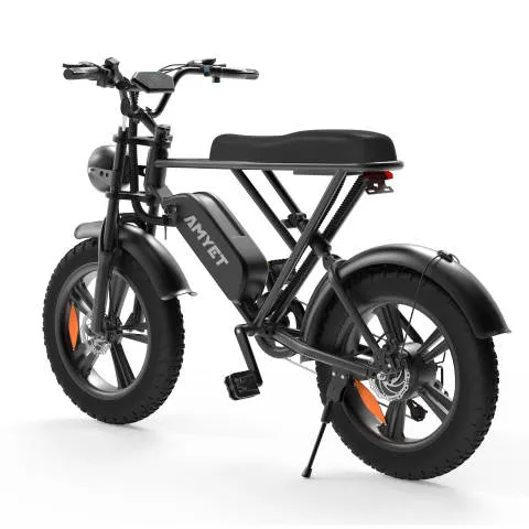 V9-G60 Iwheels Electric Bike with 1000W Motor and 20*4 off Road Tire