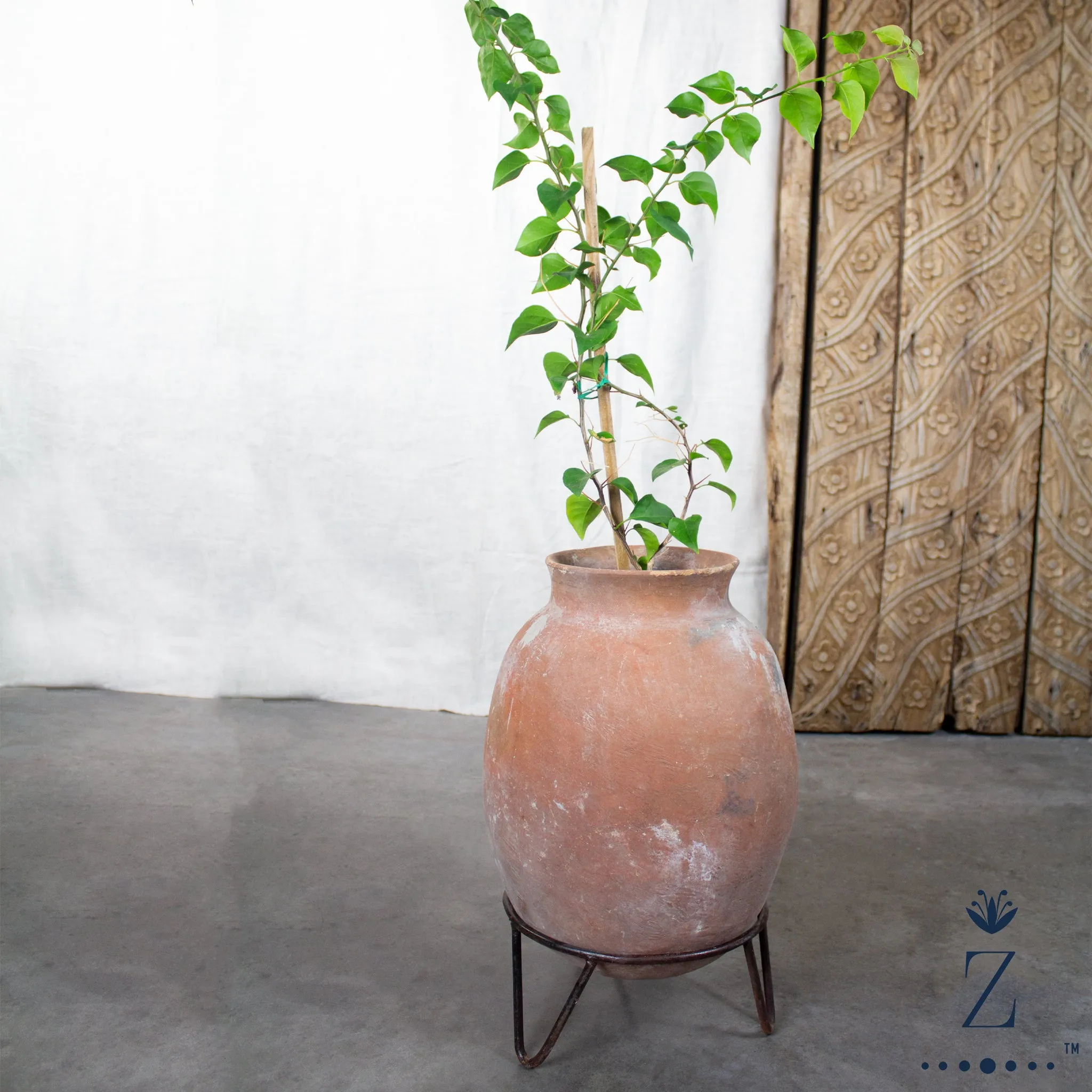 Vintage Oaxacan Distillery Pot, Small Planter