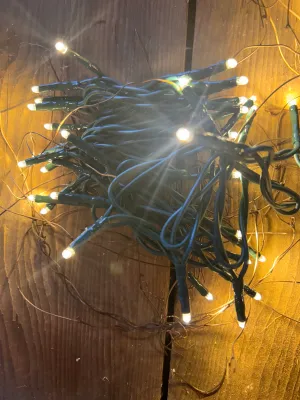 Warm Teeny Lights