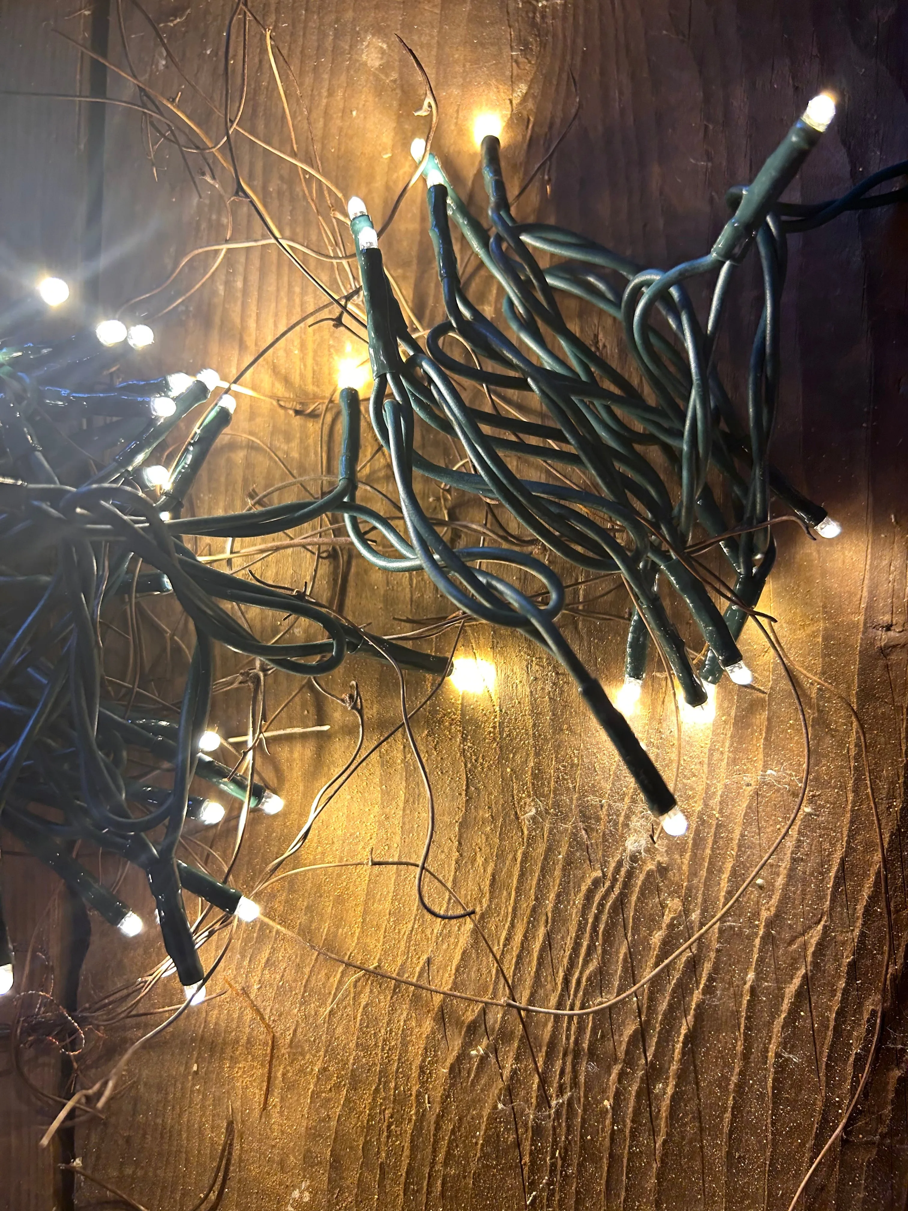 Warm Teeny Lights
