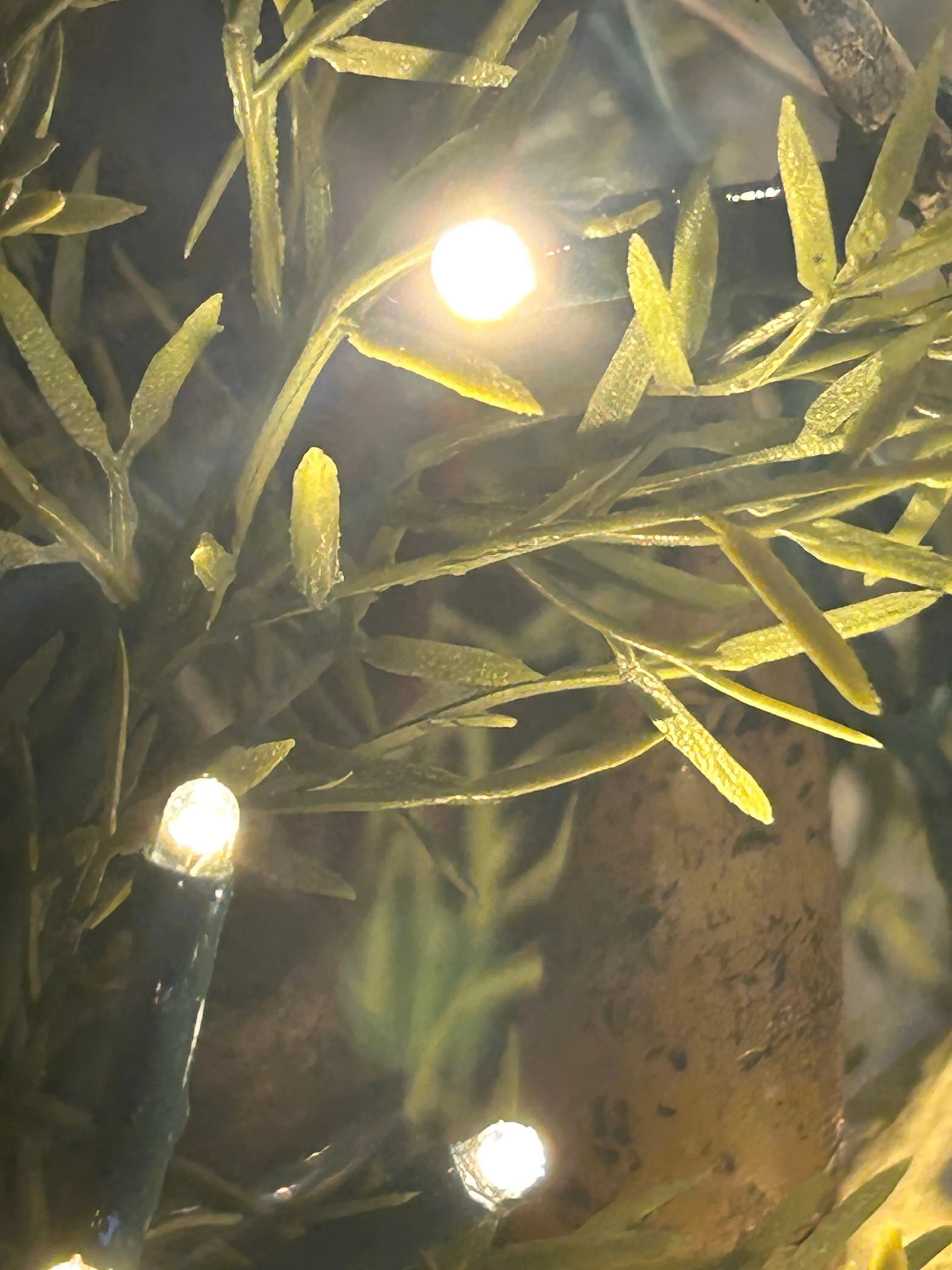 Warm Teeny Lights