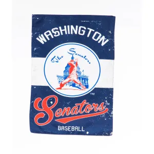 Washington Nationals, Vintage Linen GDN,14l4229vint