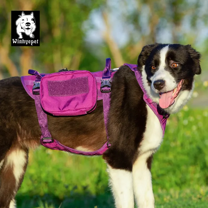 Whinhyepet Military Harness - Purple, M