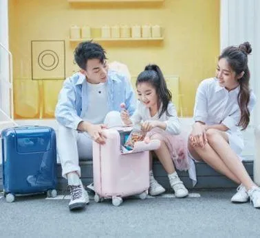 Xiaomi 17 inch Rabbit Trolley Case